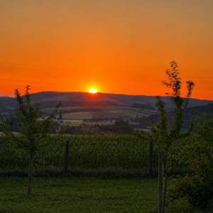Bevor die Welt dich ruft